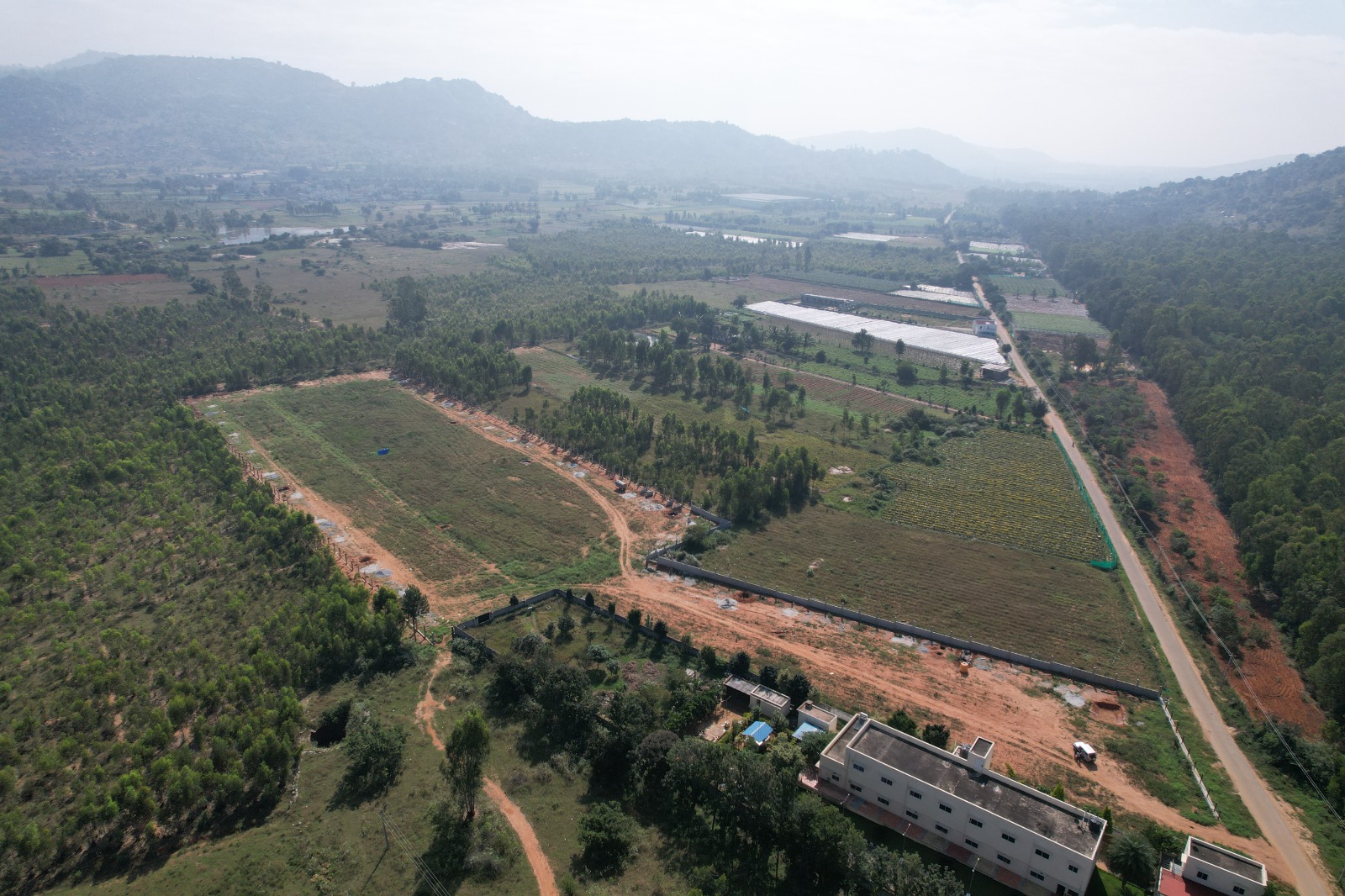 Golden Hills