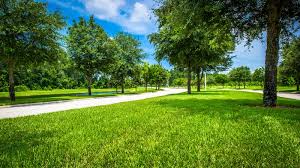 Greener landscap